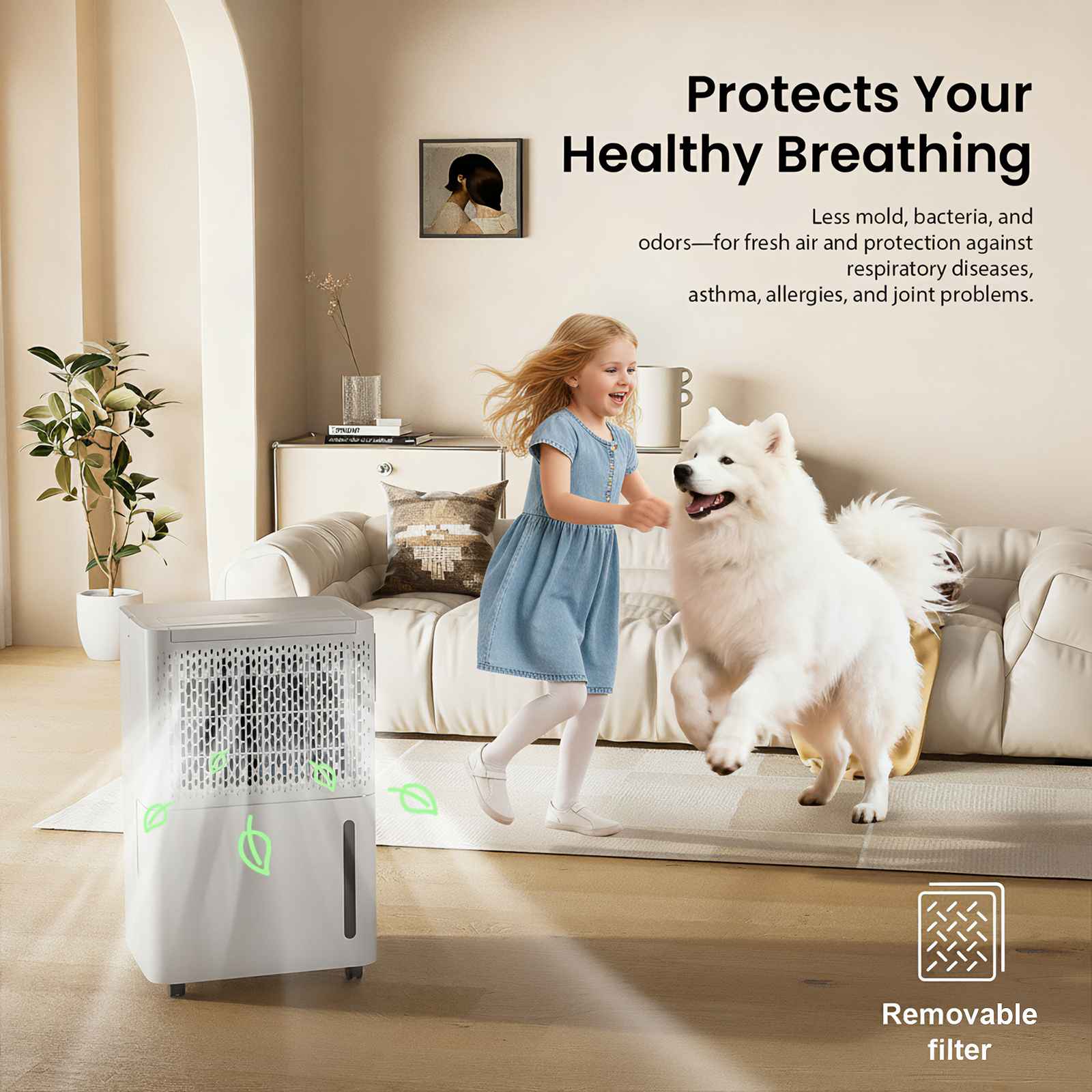 Deshumidificador 12L/Día para Hogar 15-20㎡｜Control Automático de Humedad｜Doble Drenaje｜Silencioso ≤42dB - 9