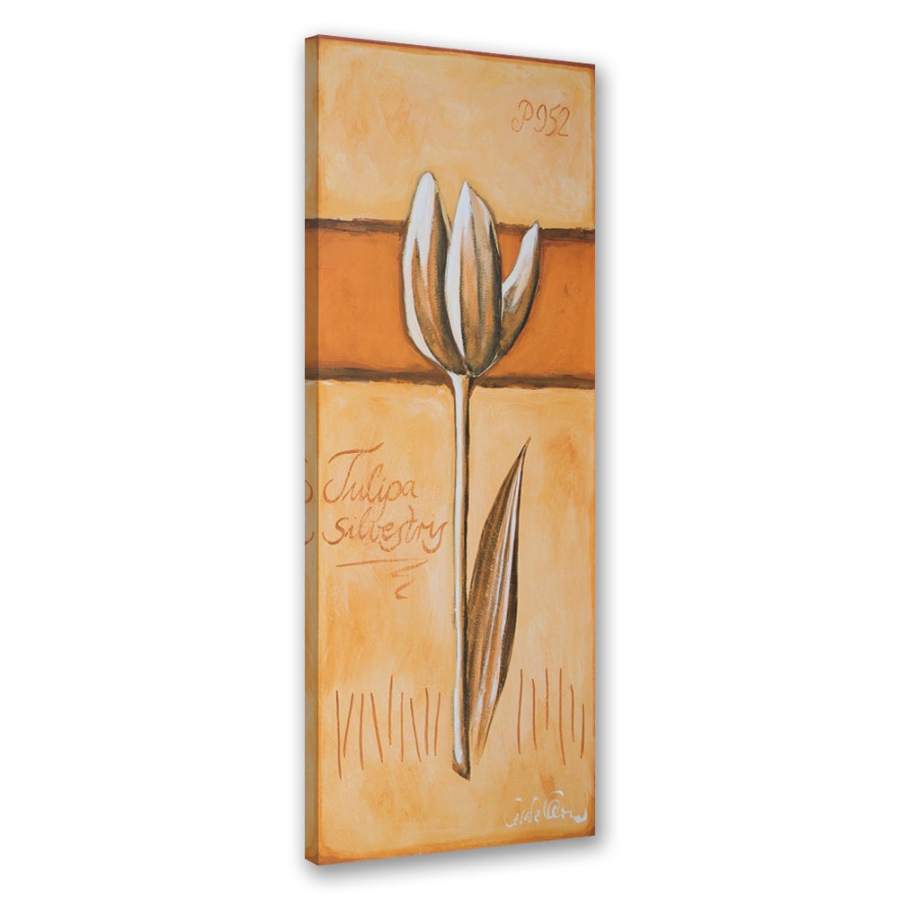 Obraz na płótnie, Tulipan malowany 30x90