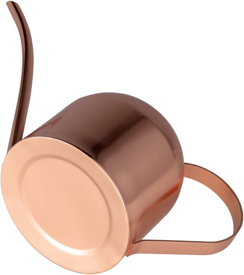 Arrosoir d'intérieur pour plantes d'intérieur -500ml- En acier inoxydable - Avec long bec - Or rose - 5