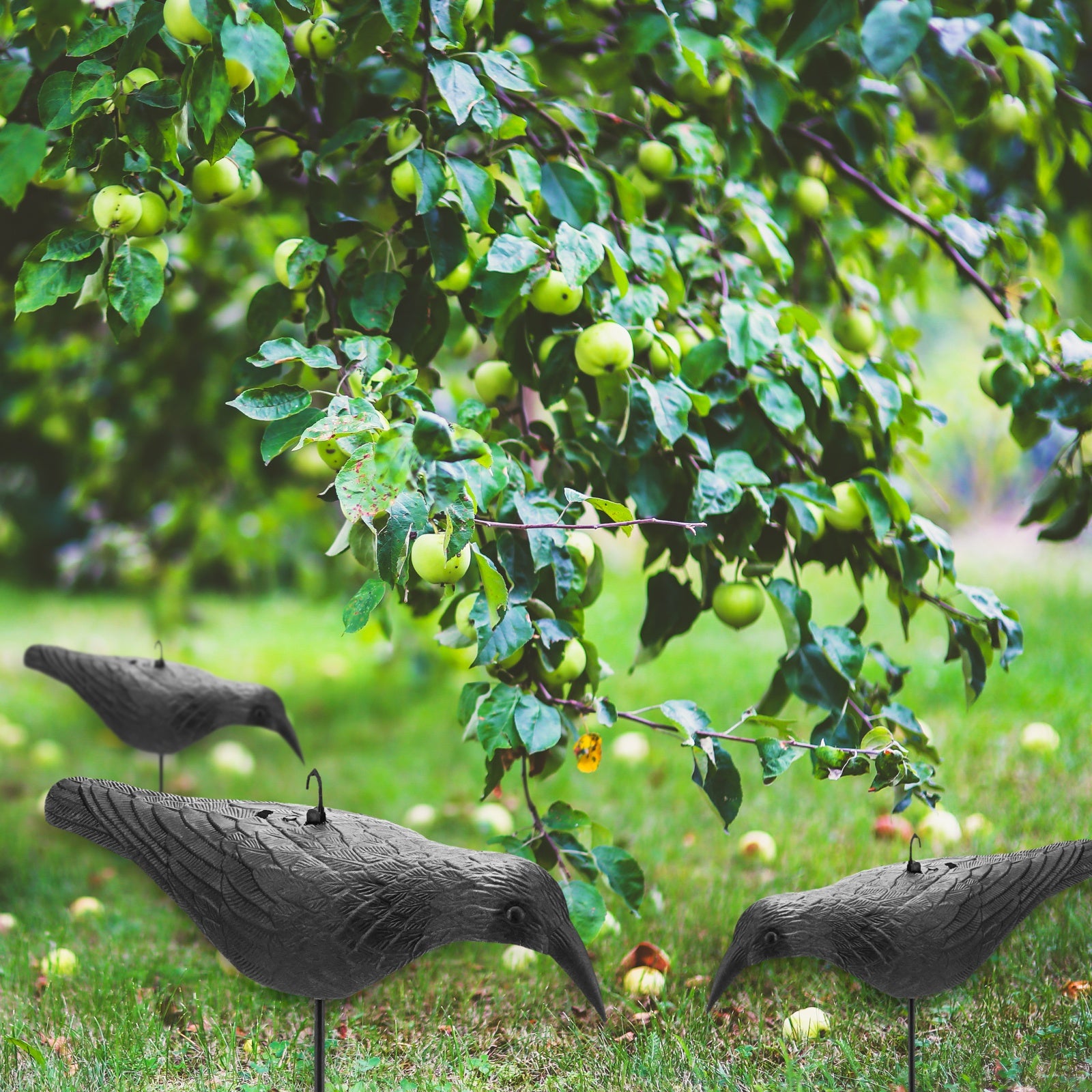 Statua di corvo in movimento per giardino per spaventare gli uccelli - 2