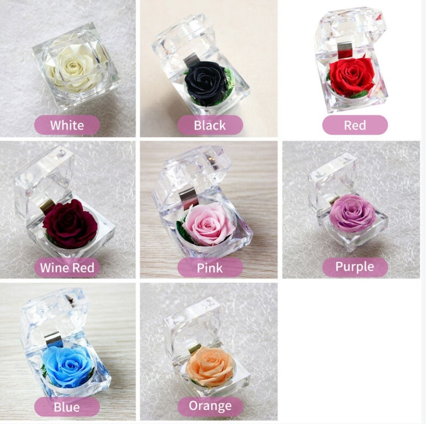 PLECUPE – Rose Éternelle Véritable En Boîte Cadeau – Fleur Conservée Infinity Rose, Cadeau Pour Femme – Fête Des Mères, Saint-Valentin, Mariage (Couleur Bleu)