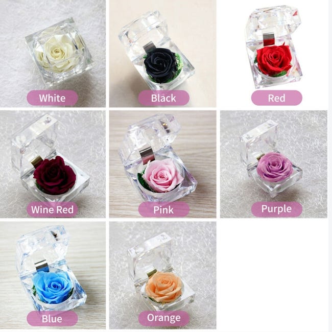 PLECUPE – Rose Éternelle Véritable En Boîte Cadeau – Fleur Conservée Infinity Rose, Cadeau Pour Femme – Fête Des Mères, Saint-Valentin, Mariage (Couleur Bleu)