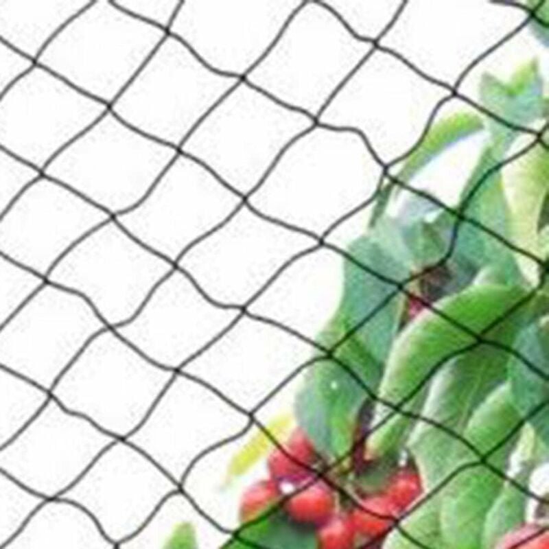 Filet anti-oiseaux, Maille 【1,5*1,5 cm】10 m * 5 m , filet anti-oiseaux, filet de protection solide pour bassin de jardin, pour fruits, légumes - 4