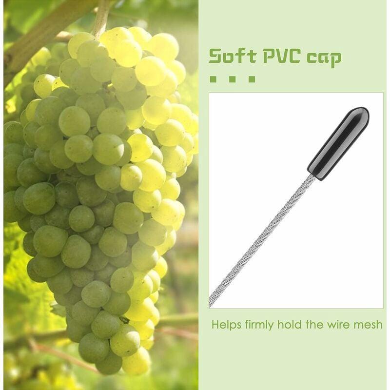 Support Pour Plante Grimpante, Kit Complet En Inox Avec Support Mural Et Corde Diamètre 3Mm (Longueur 16M) - 4