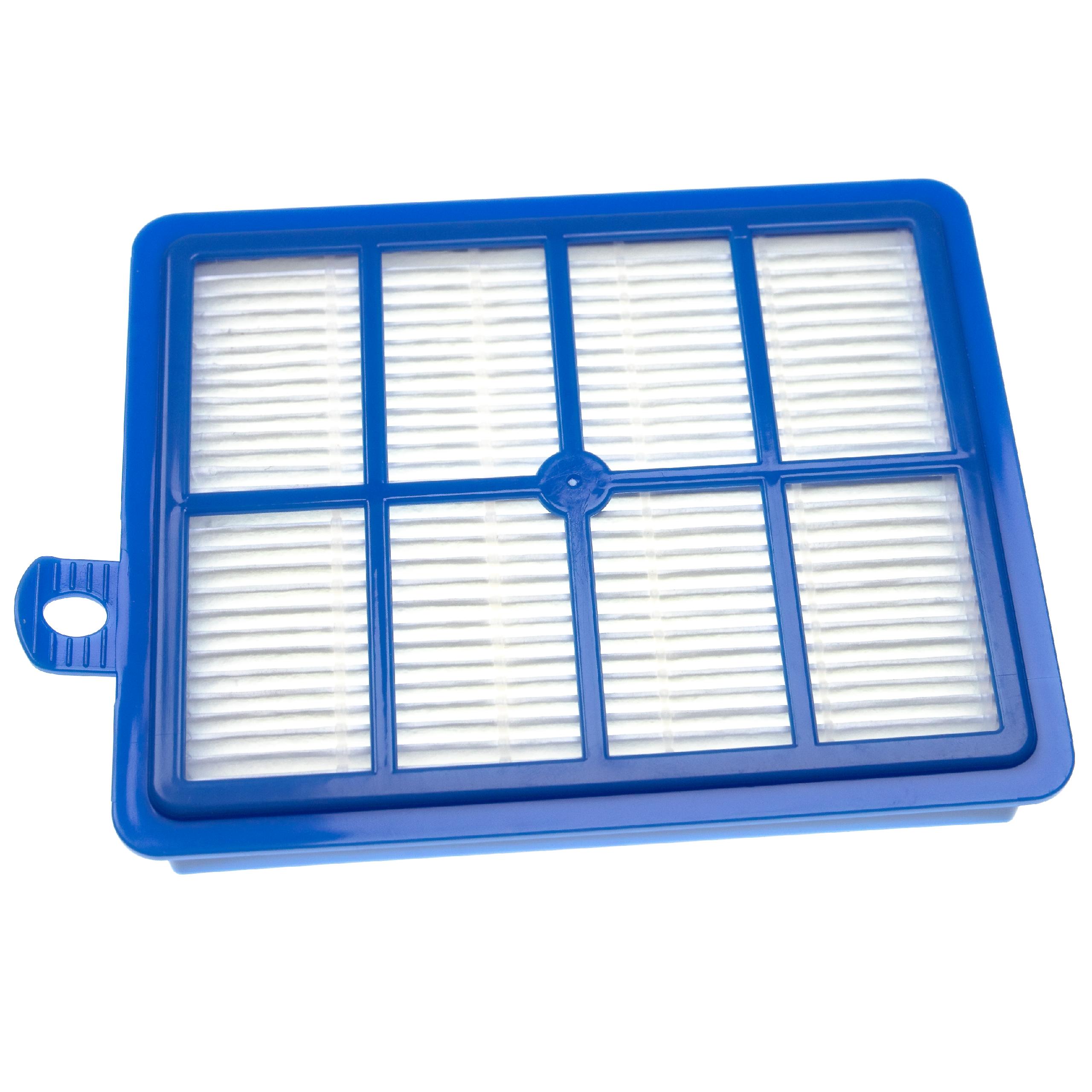 vhbw Filtre compatible avec AEG Viva Control AVC 1228, 1229, 1230 aspirateur - Filtre HEPA en fibre de verre contre les allergies - 2