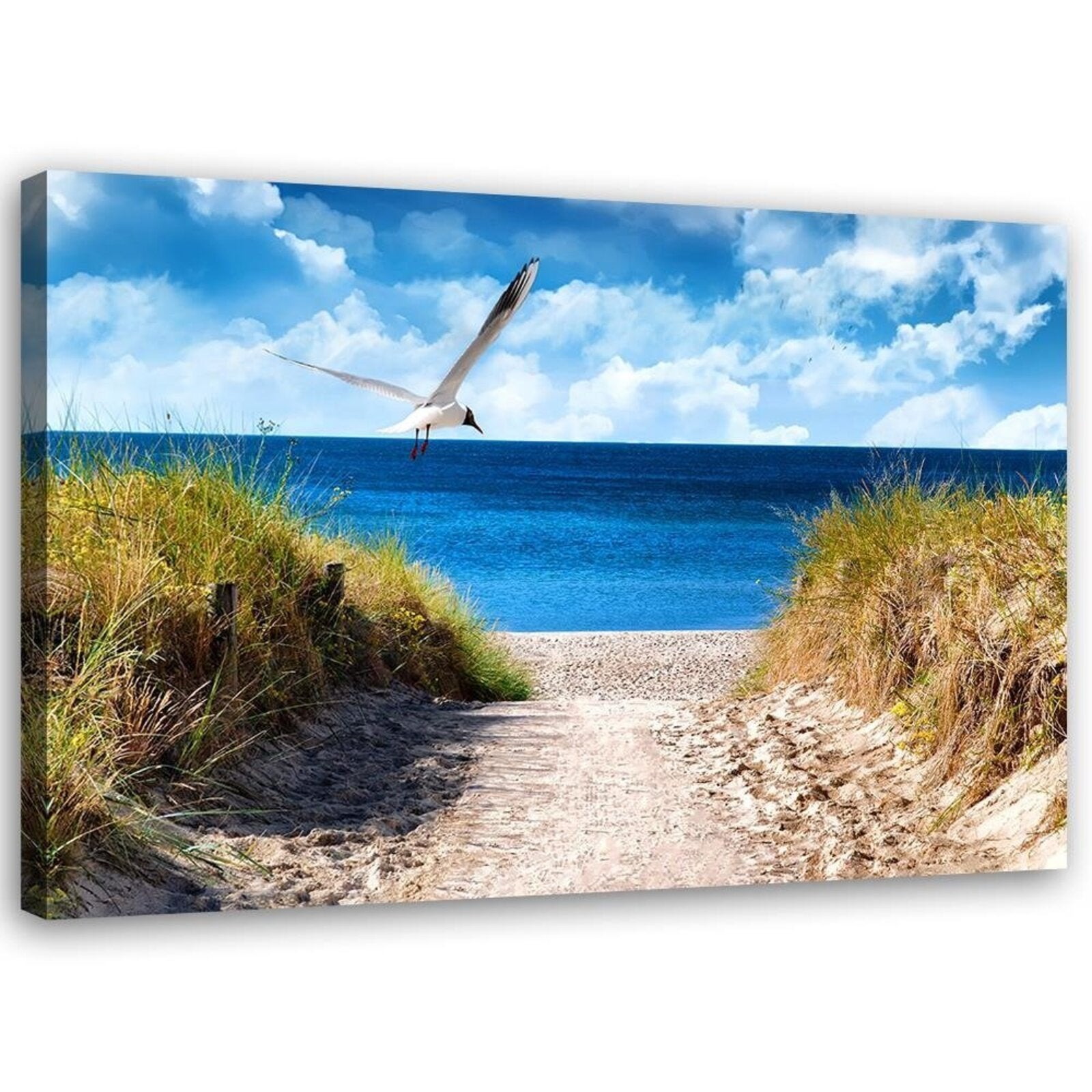 Obraz na płótnie, Ścieżka na plażę i mewa 120x80