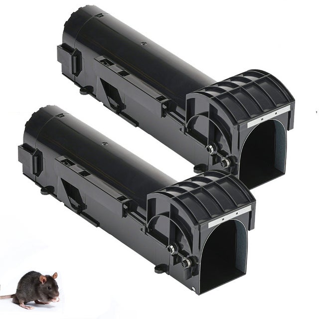 Produits Rats Produit pour tuer les souris rapidement au meilleur prix | Leroy Merlin