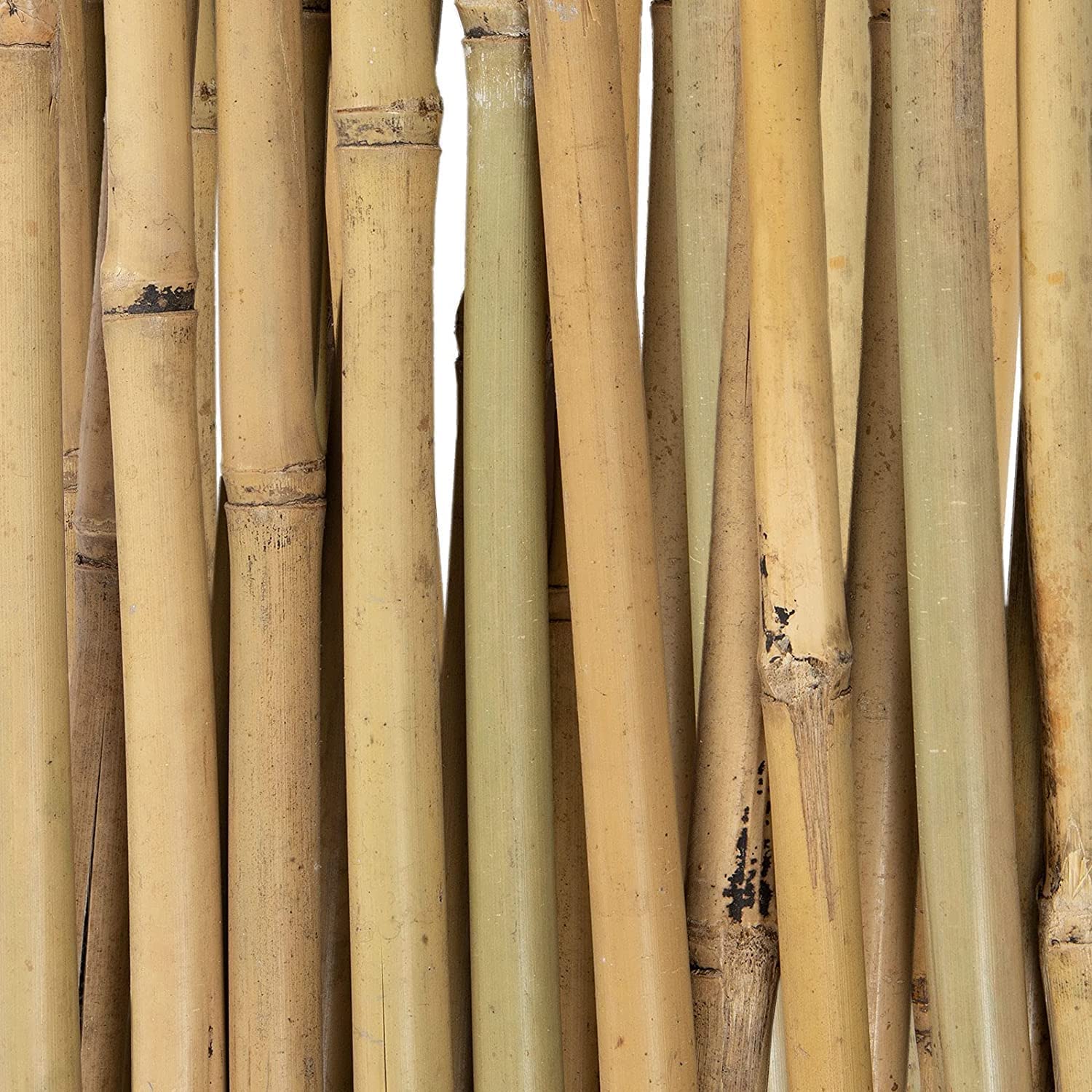 Treillis en Bambou pour Jardin, Balcon et terrasse Extensible Individuellement Résistant aux intempéries 90 x 180 cm - 4