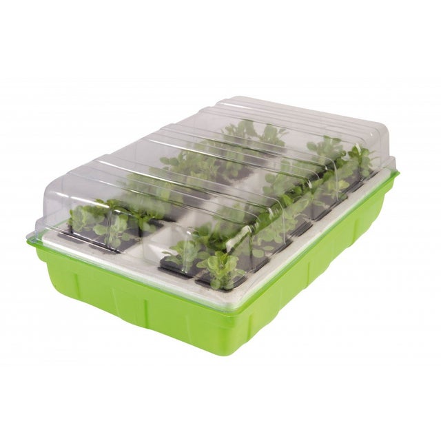 Kit de germination 40 godets avec couvercle effet de serre et tapis à capillarité - TERRE JARDIN