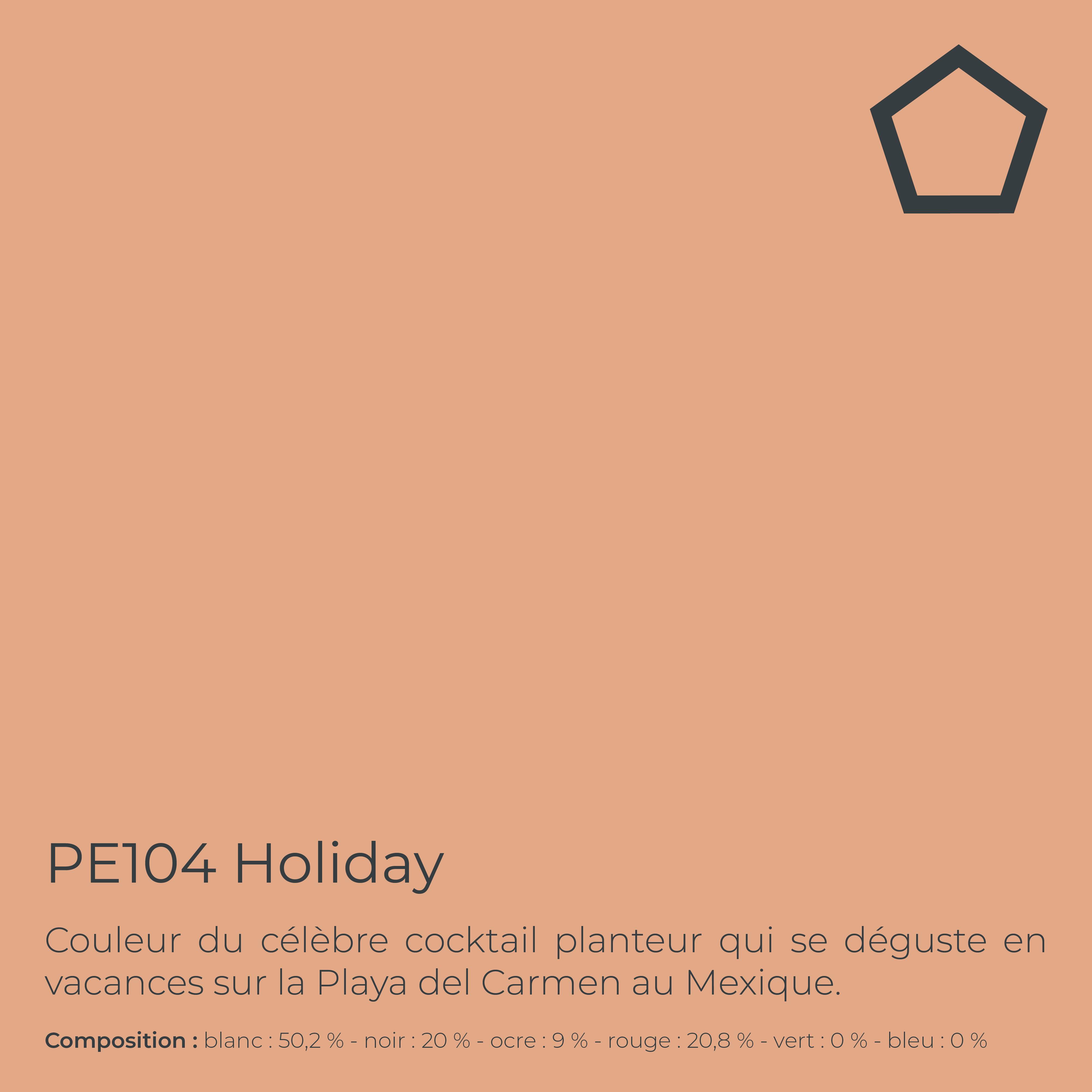 Peinture de finition très lessivable pour murs intérieurs - Finish Aqua Semi-Matt, 1 l, Holiday (PE104) - PEINTAGONE - 3