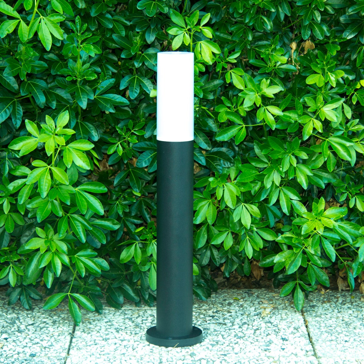 Borne Extérieure 60cm 220V IP65 pour Ampoule E27 - SILAMP - 2