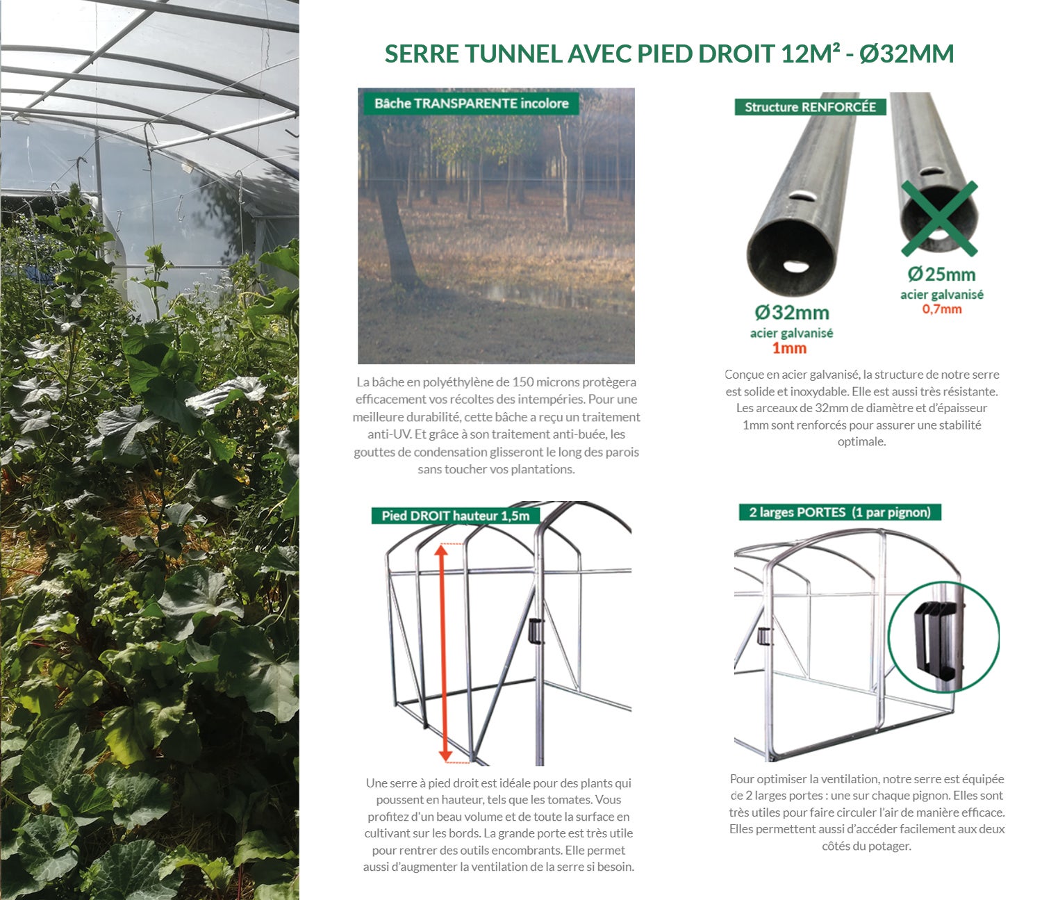 Serre tunnel 12m² à pieds droits avec porte - Bâche thermique transparente et structure Ø32mm - 2