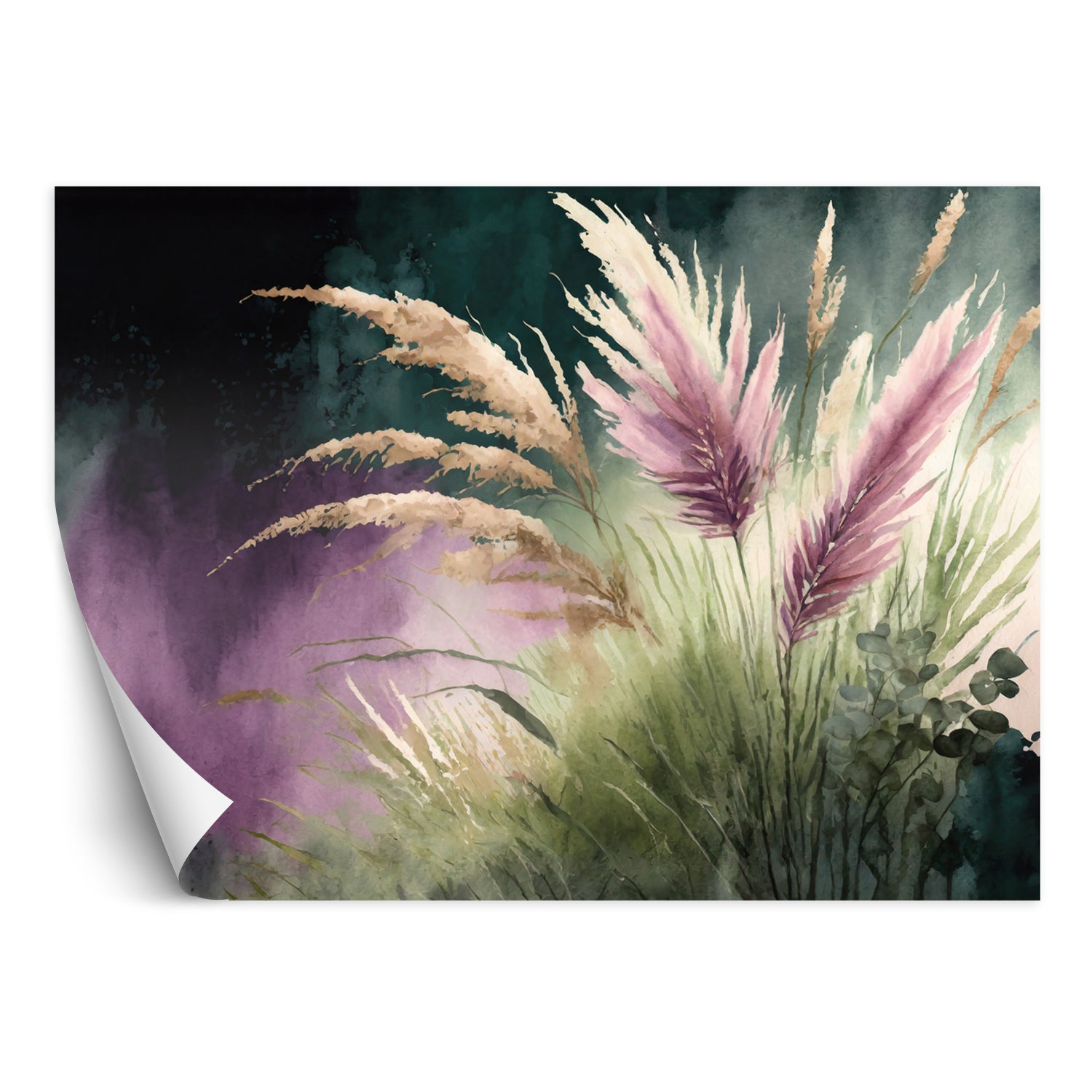 Fototapeta, Botanika Trawa pampasowa Natura 250x175