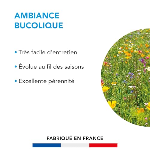 BARENBRUG - Pelouse Ambiance Bucolique - Très Facile d'Entretien - Évolue au Fil des Saisons - Excellente Pérennité - 500G - 2