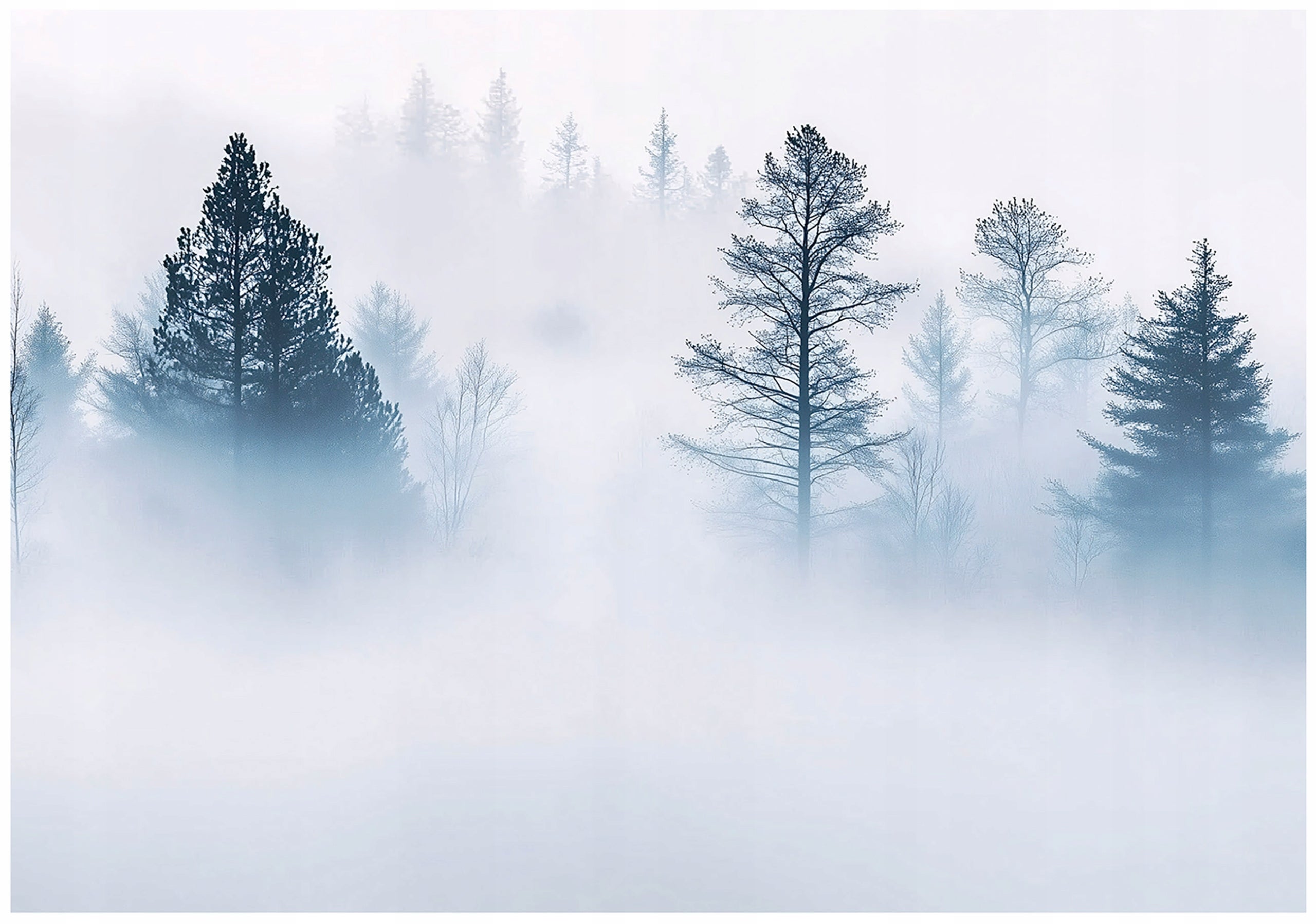 Papier Peint Panoramique 3D – Forêt Brumeuse M7865 – Autocollant Et Amovible – Romy