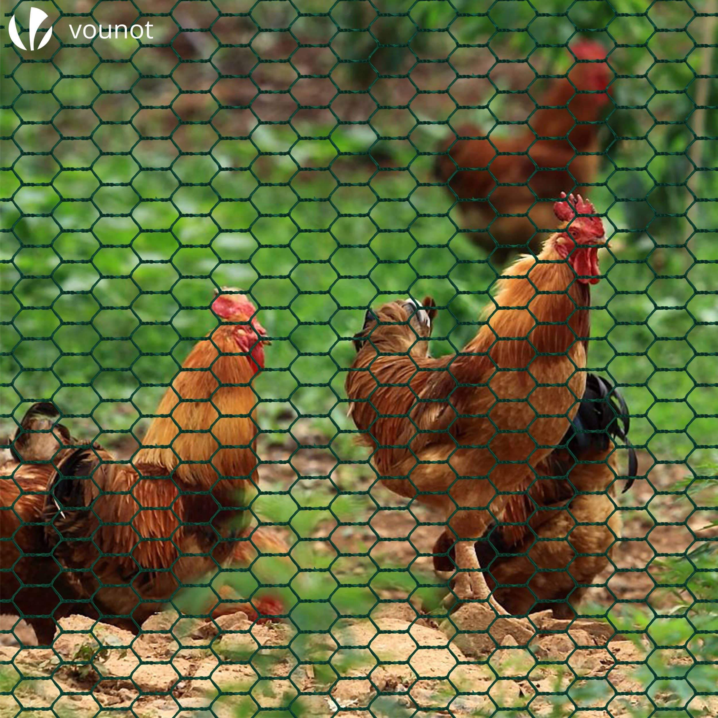Grillage métallique gainé de PVC vert - Maille 25mm - 1x25M - Filet de clôture pour poulailler - VOUNOT® - 3