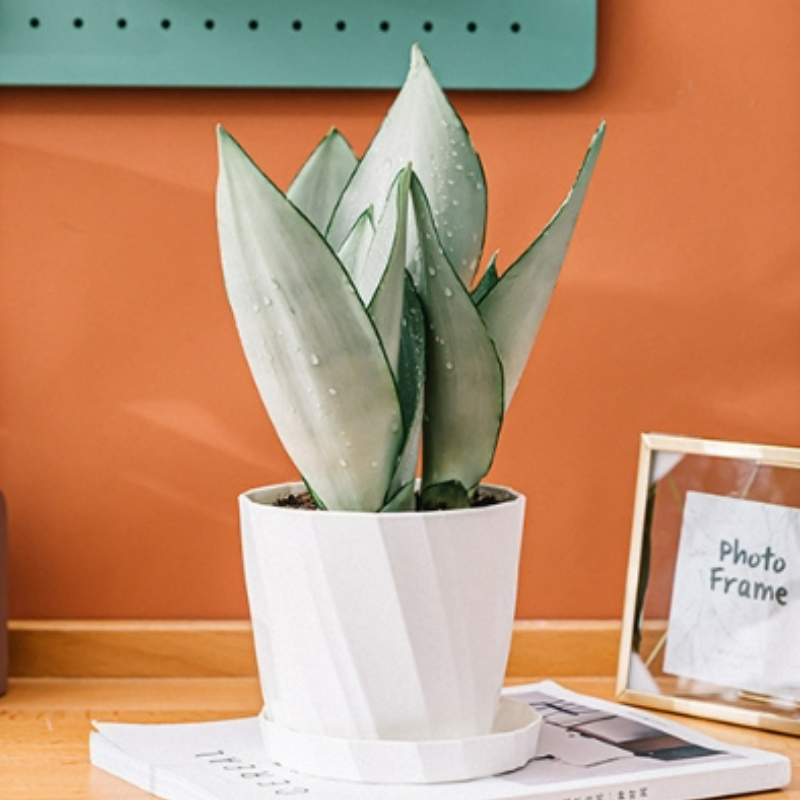 PASCH® Set di 4 piante artificiali tropicali come reali (25 cm) in vasi di ceramica bianchi: tra cui Monstera artificiale e Areca palma artificiale | piante artificiali in vaso | Fake Plant | fiori