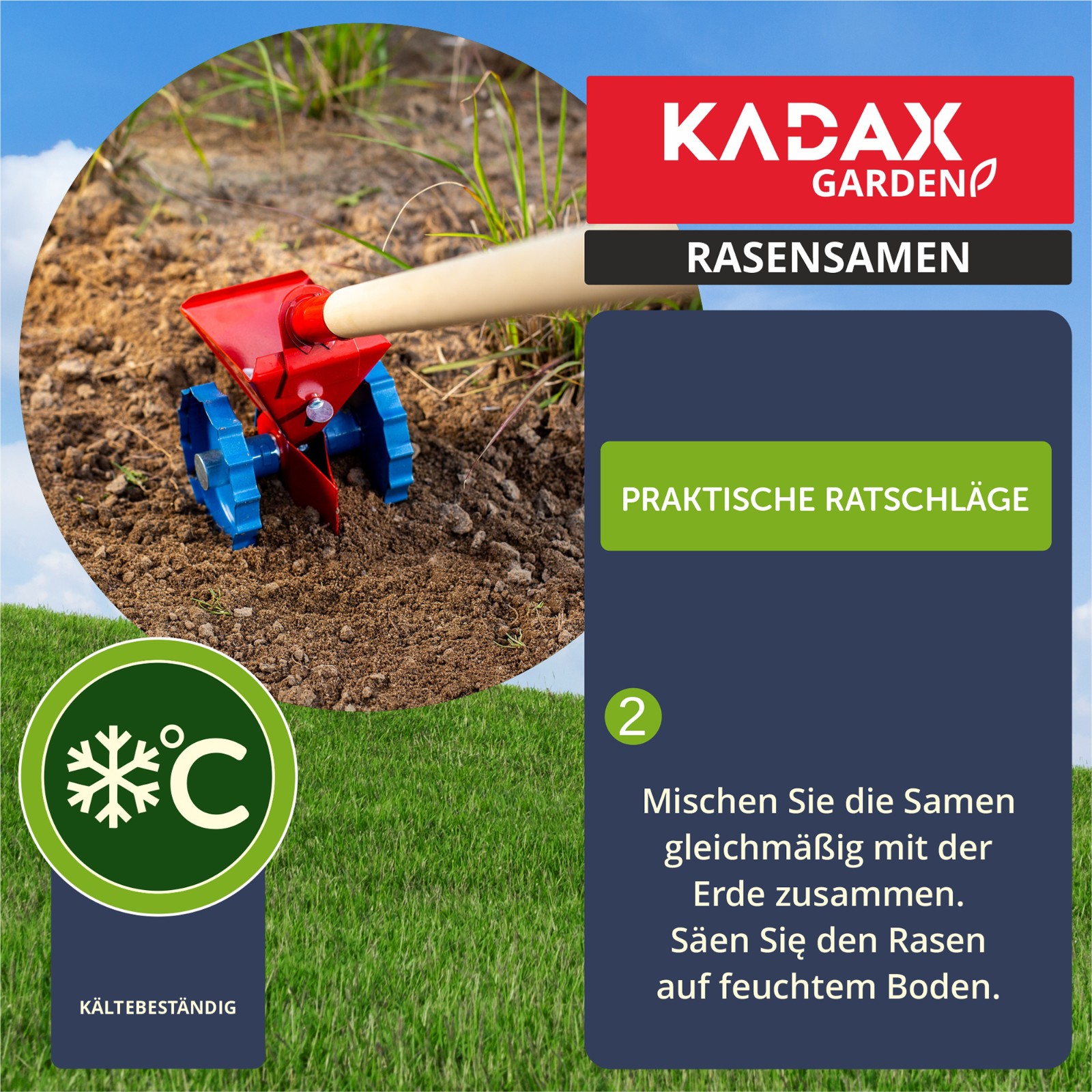 TRAWA NASIONA 5kg ODPORNA NA DEPTANIE SAMOZAGĘSZCZAJĄCA TRAW SPORTOWA 200m2 - 3