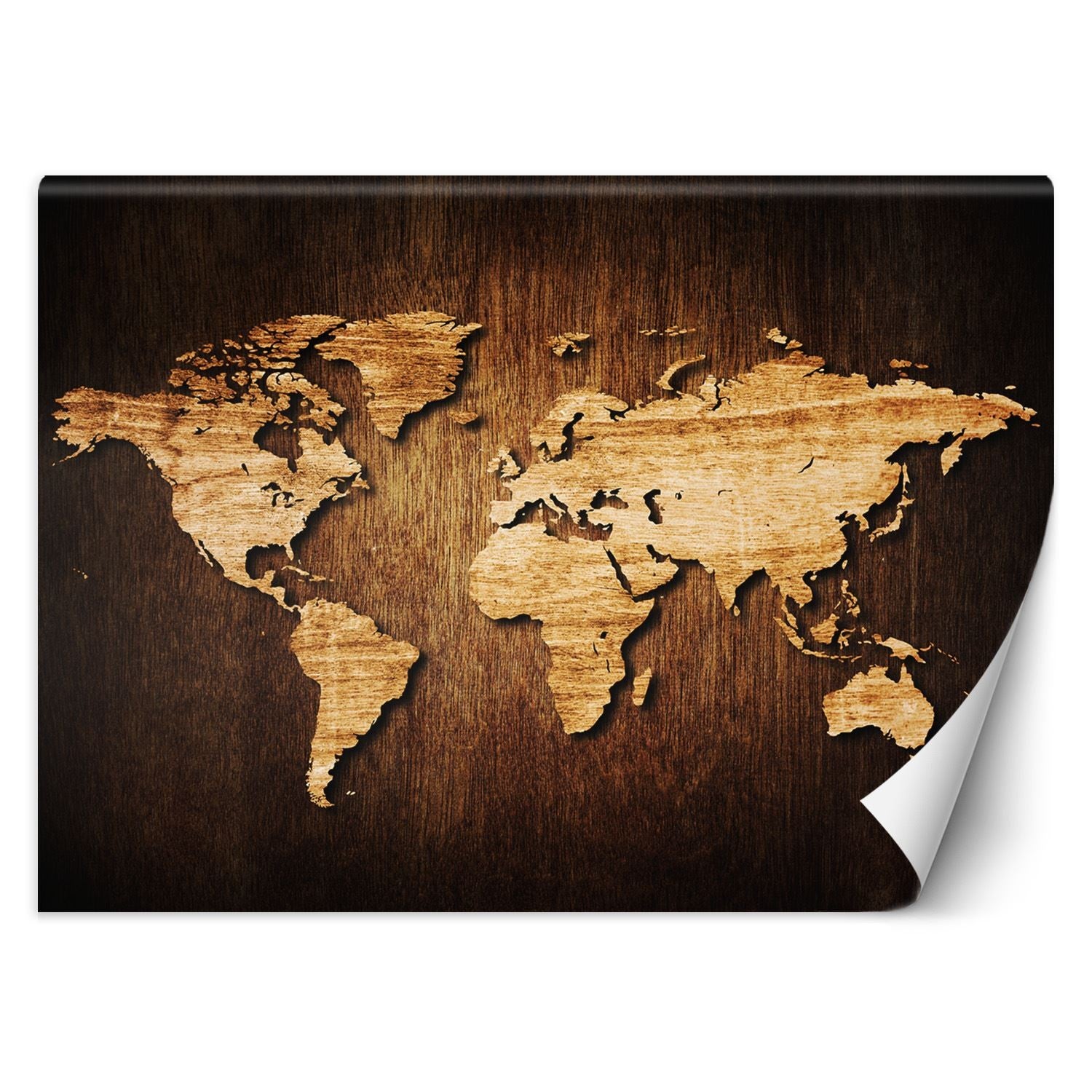 Fototapeta, Mapa świata 350x245