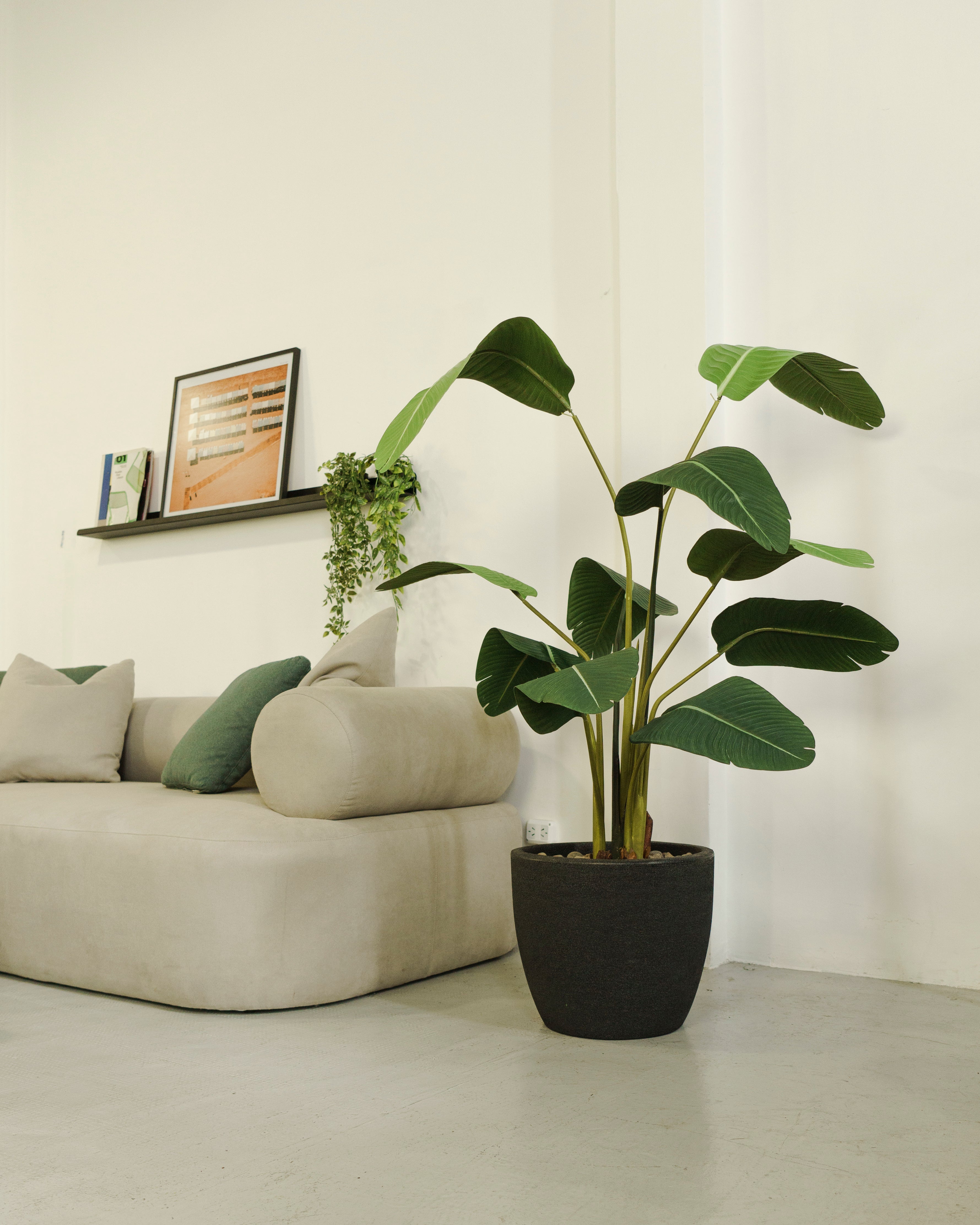 Planta Artificial Ave del Paraíso 160 cm – Strelitzia Realista de Estilo Tropical - 2