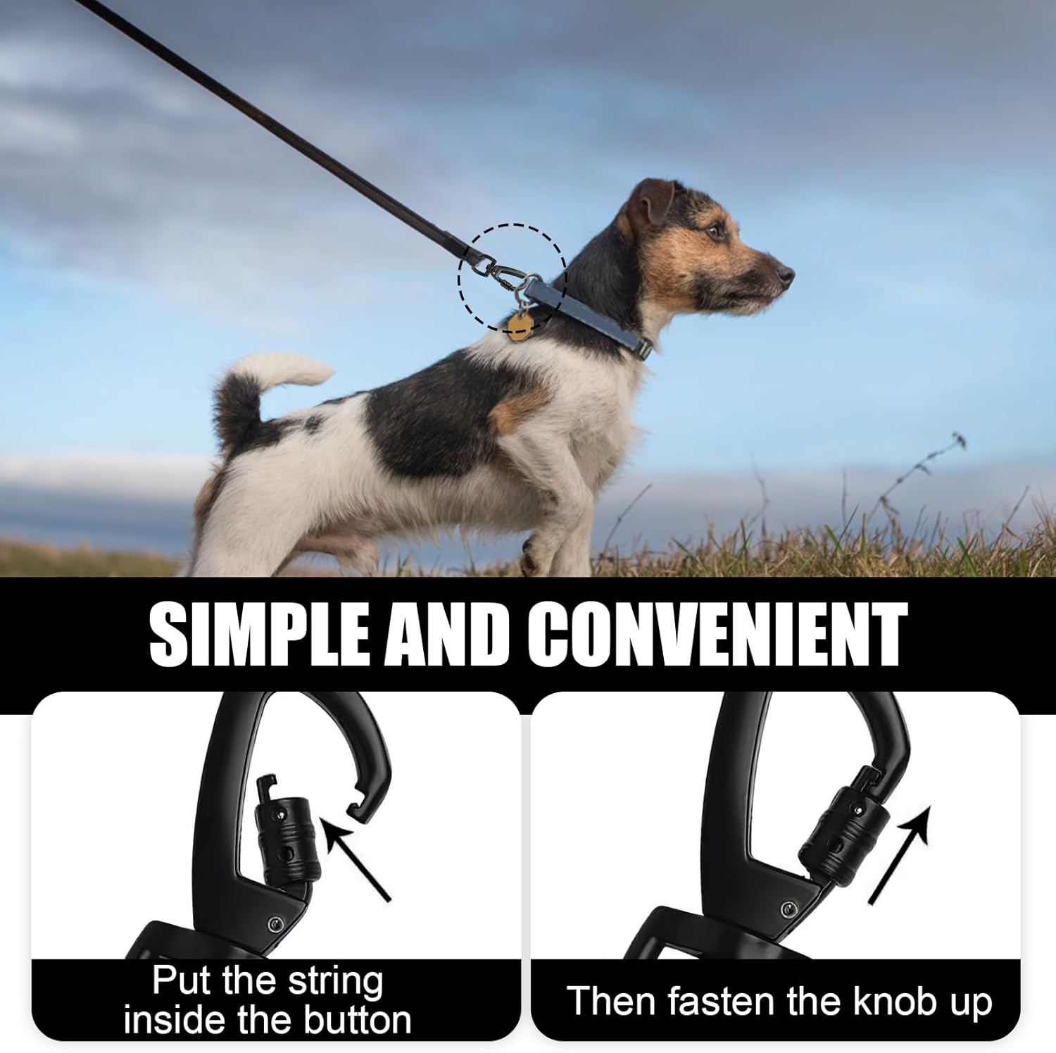 2pcs Mousqueton Laisse Chien, Mousquetons avec Articulation Pivotante en Alliage Zinc Robuste Charge Lourd Carabiner(Noir) - 4