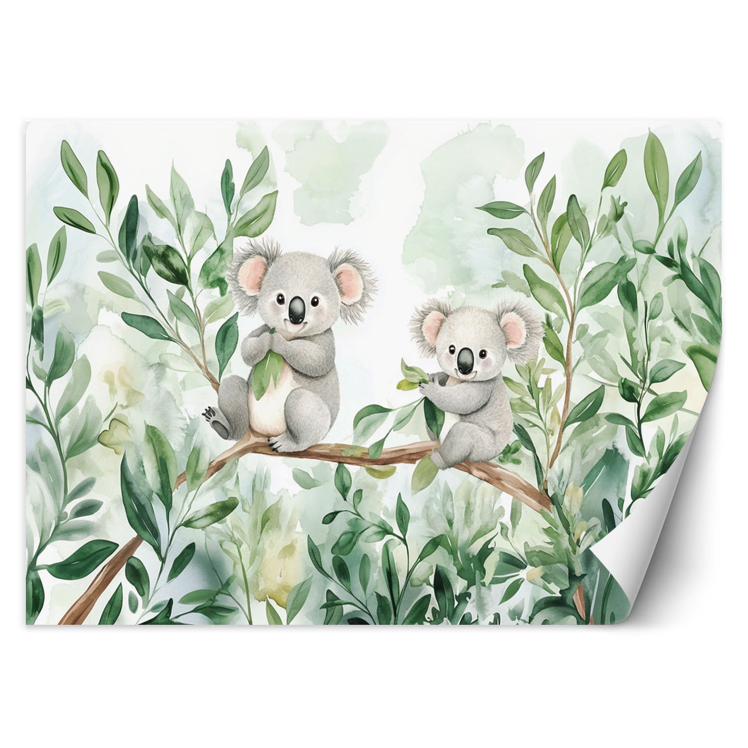 Fototapeta do pokoju dziecka, Misie Koala Liście eukaliptusa 300x210