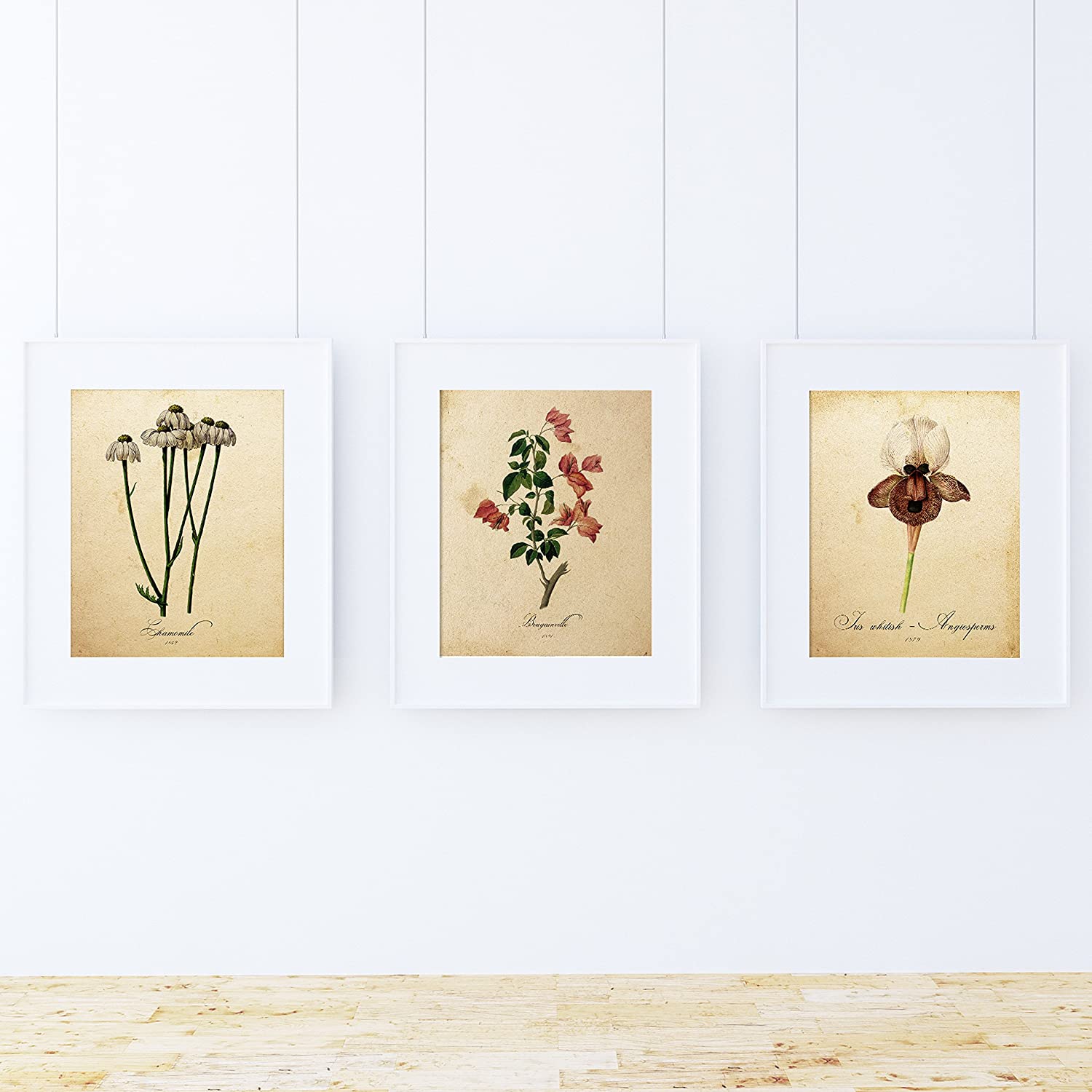 Pack de láminas elegance. posters con imagenes de botanica. alta calidad marco blanco a4