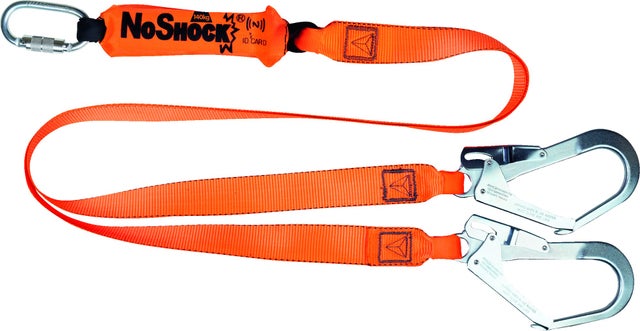 Longe 2 sangles absorbeur d'énergie Acier, Polyester 2mx2m Orange