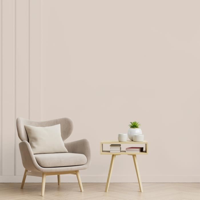 RIPOLIN ESPRIT DECO MULTI SUPPORTS CAFÉ AU LAIT satin 2,5L - 6