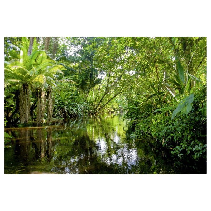 Tableau toile en kit FORET TROPICALE 140 x 95 cm - Toile textile sans PVC, Made in France par Scenolia - 2