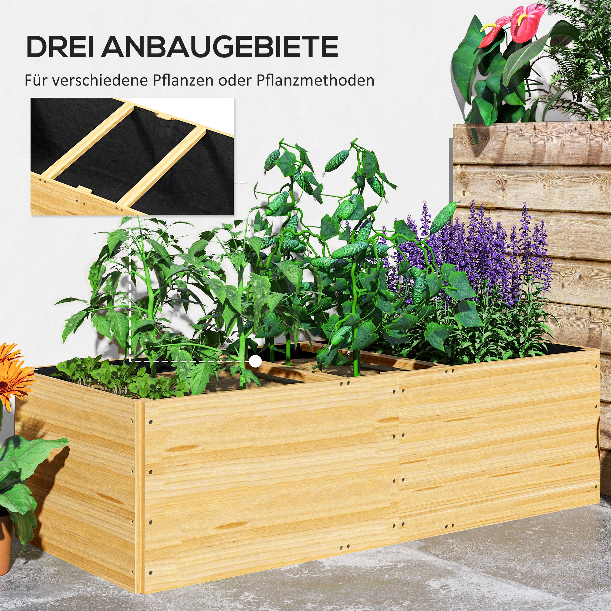 Potager surélevé en bois avec 3 zones de plantation, pour légumes, herbes aromatiques et fleurs, 140 x 60 x 40 cm - 6