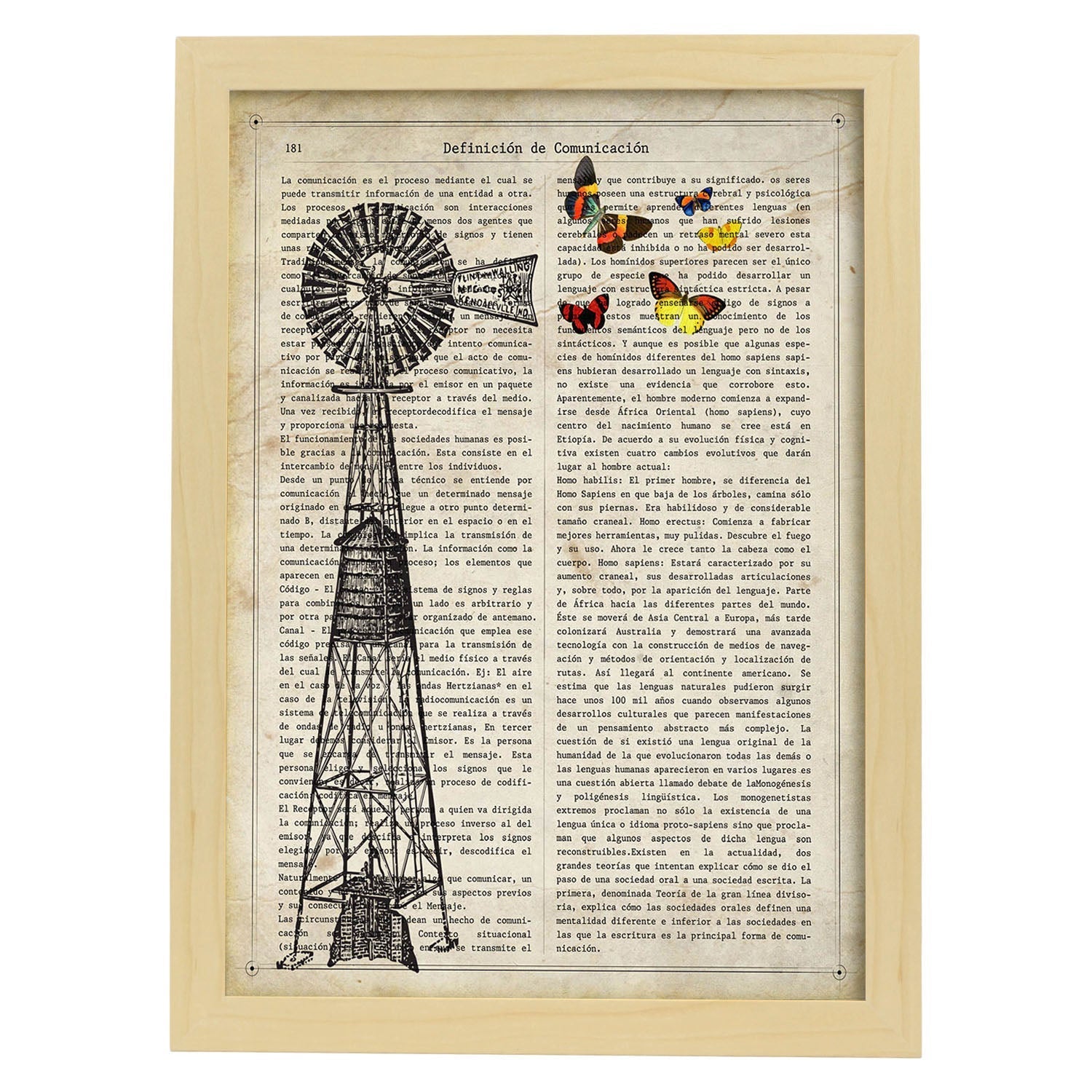Affiches D'objets Vintage Veletta Moulinetta Lamina Avec Des Images D'objets Vintage Avec Des Définitions En Espagnol Châssis Blanc A3 - 2