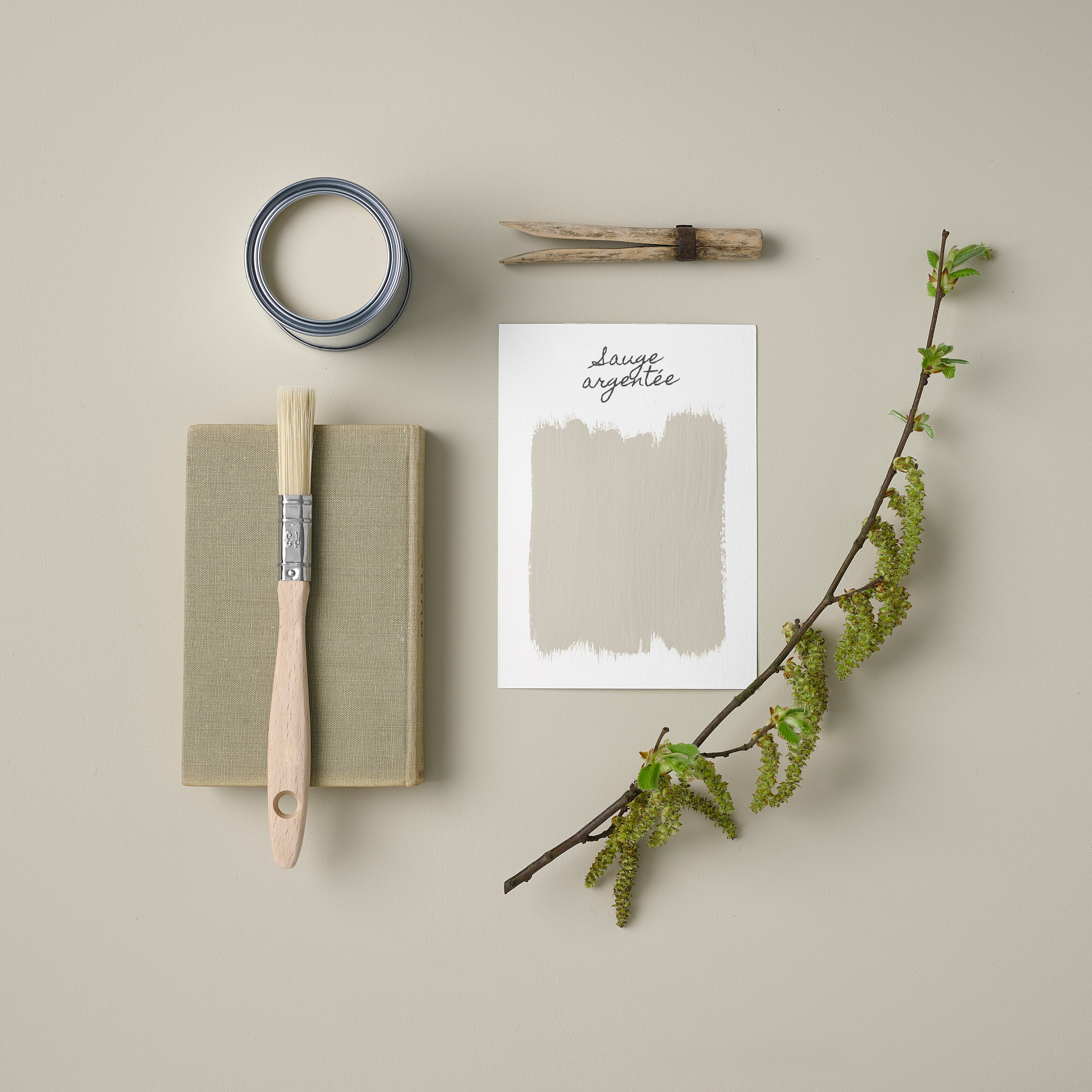 Peinture Verte pour Meubles Chalky Mat Poudré RUST-OLEUM - Sauge Argentée 750ml (10,5m² avec un pot) - 4