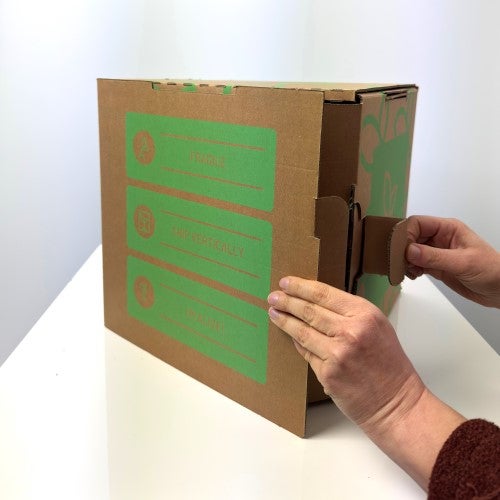 Menta Mix Cespuglio 14 - Pack da 4 - 7