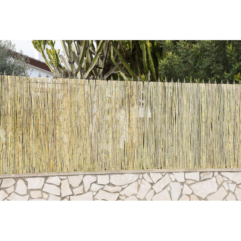 Canniccio naturali per giardino, 1,5 x 5 m, utili per Giardini e Balconi, Frangivento, occultamento al 95%. - 5