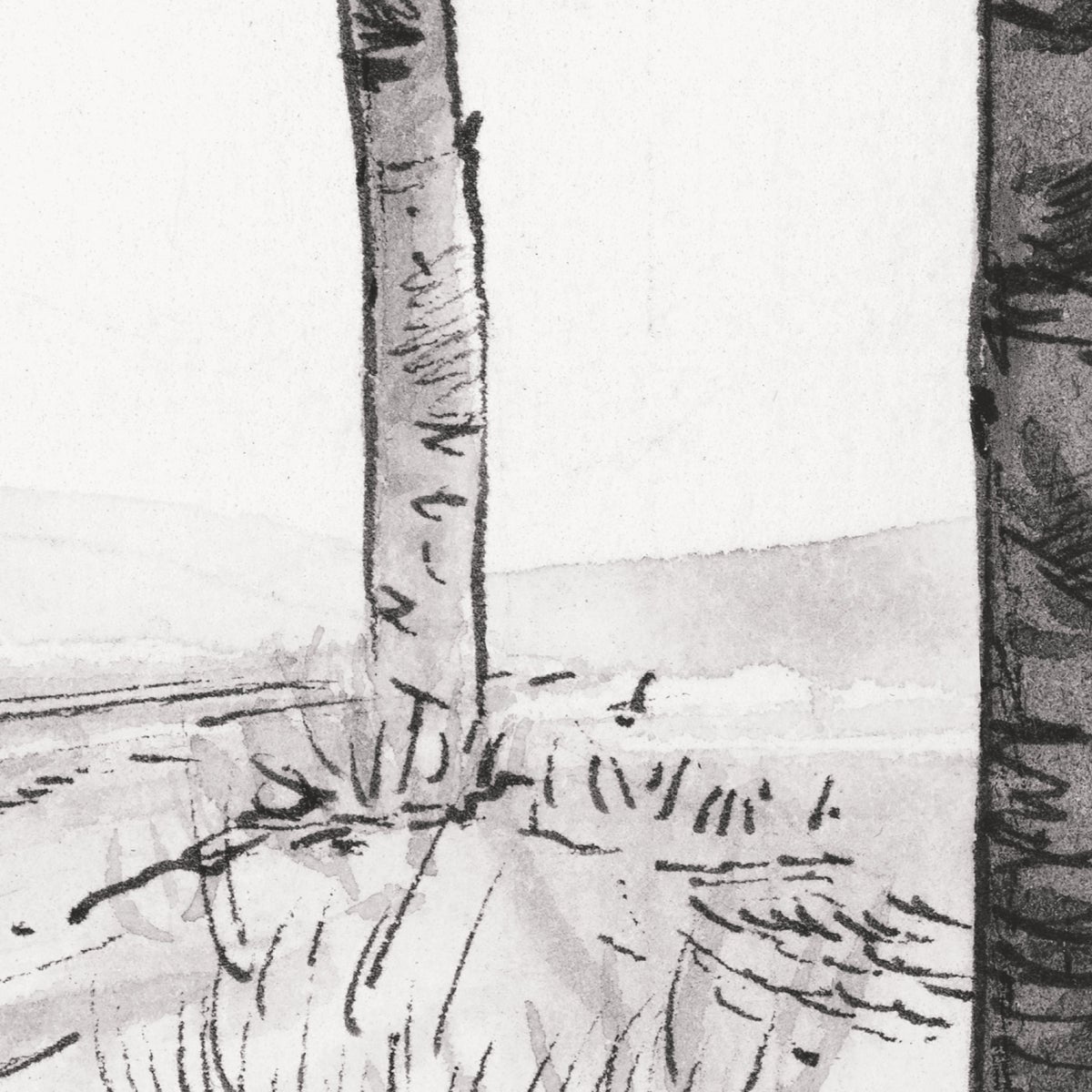 Carta da parati panoramica Paesaggio forestale Bianco e nero 300x250cm - 3