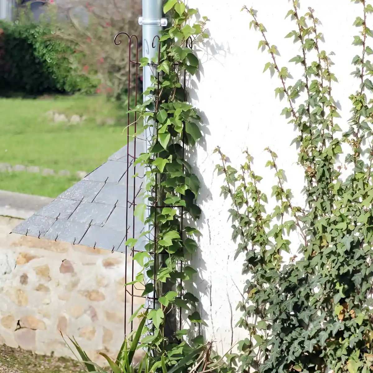 Tuteur colonne volute - Rosiers et plantes grimpantes - Marron - acier peint - L. 25 x l. 11 x H. 170 cm - 3