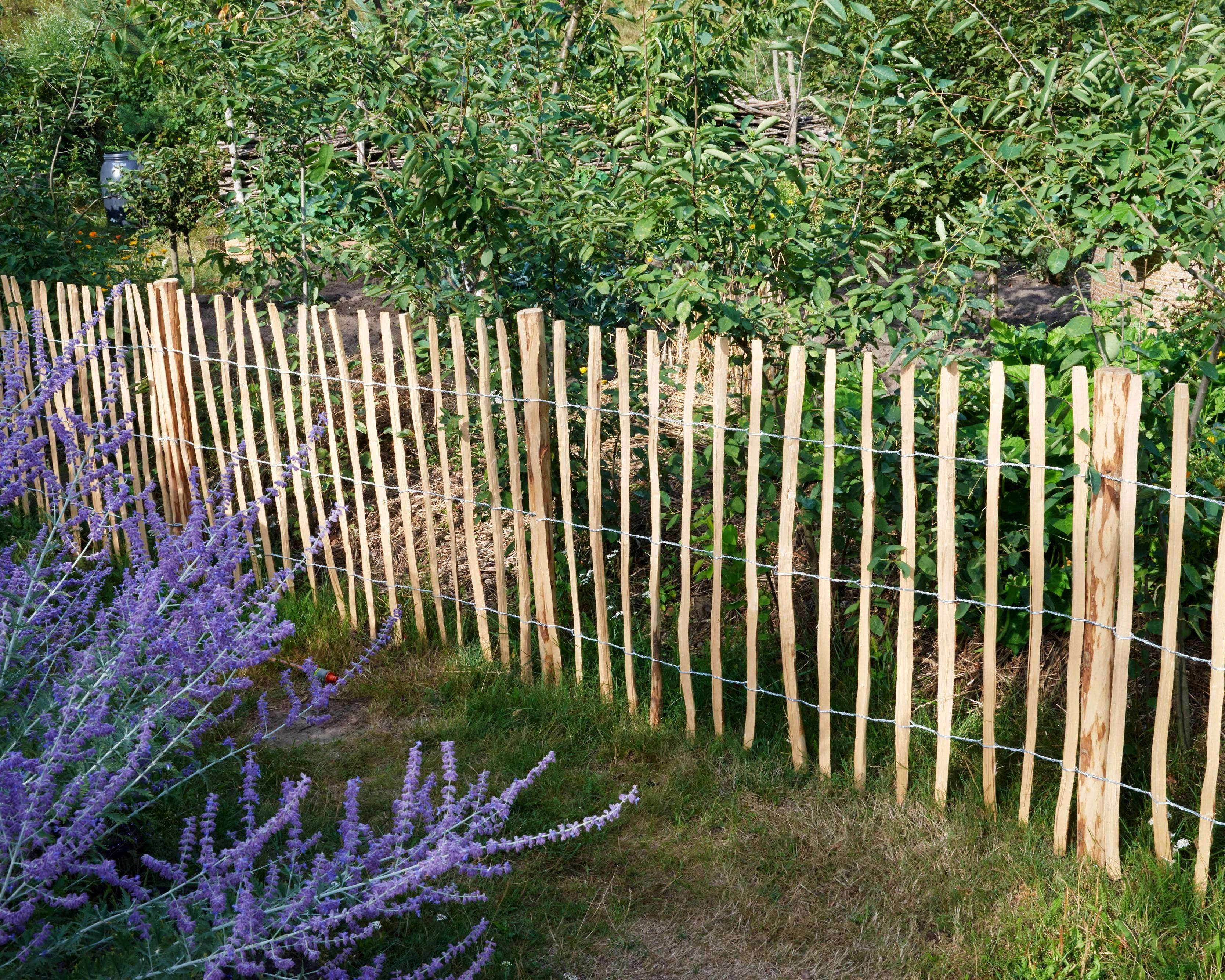 BOGATECO 3 x poteaux de clôture en noisetier | Hauteur 120 cm | Pieu en bois aiguisé | Kit 3 pièces pour clôture de jardin de 500 cm de long - 4