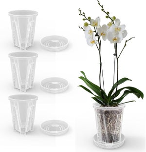 VASO TRASPARENTE IN PLASTICA IDEALE PER LE ORCHIDEE IN CONFEZIONE DA 6 PEZZI (21 Centimetri, 19 Centimetri