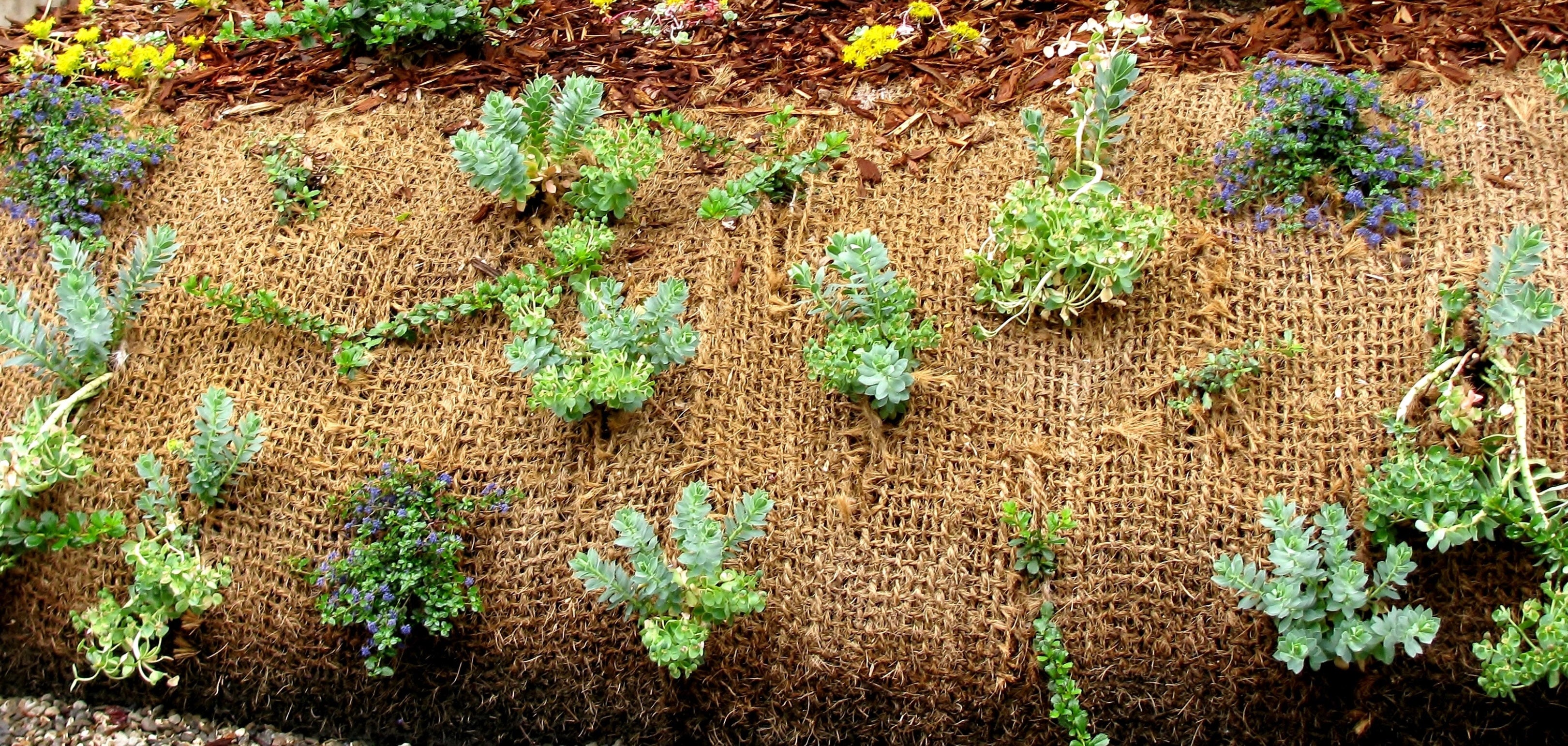 2 m filet anti-érosion en fibre de coco 1 m de large, film pour bassin de jardin, natte en fibre de coco 750 g - 5