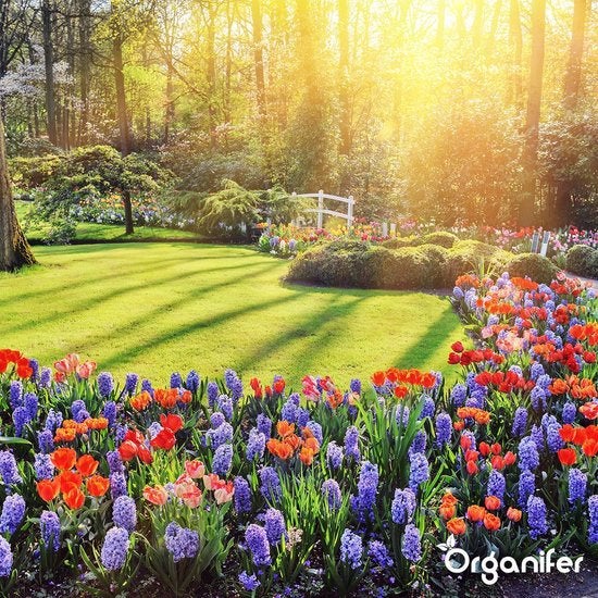 Lavagrit Issu De Roches Originelles D'Eifel - 20 Kg Pour 200 M2 - Organifer - 6