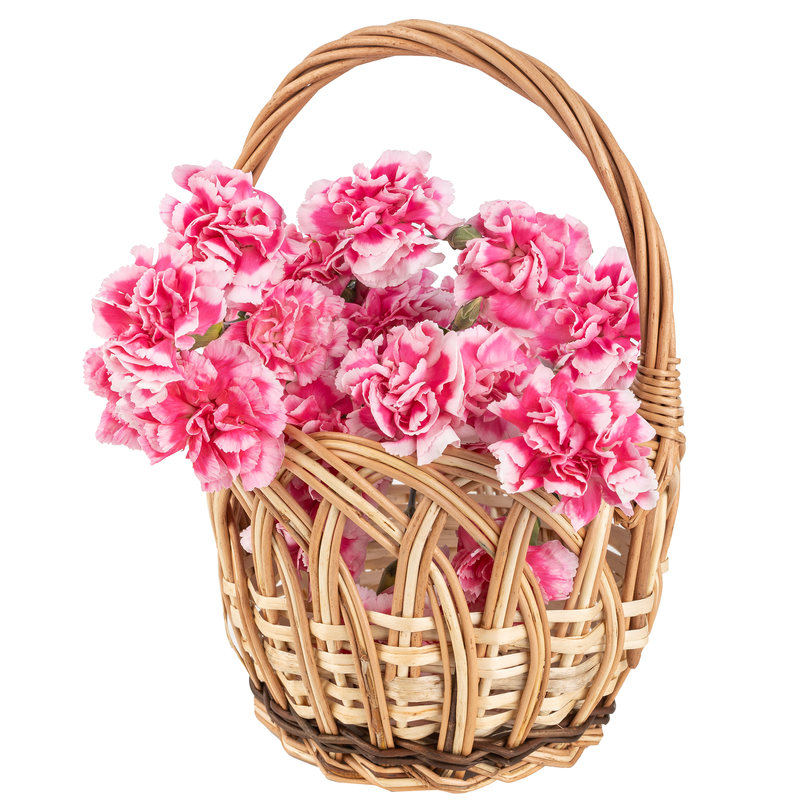 Creative home cesta de mimbre calada pequeña con asa redonda marrón natural | 16x16x23 cm (+/- 1cm) | regalo plantas pascua decoración | tejida a mano