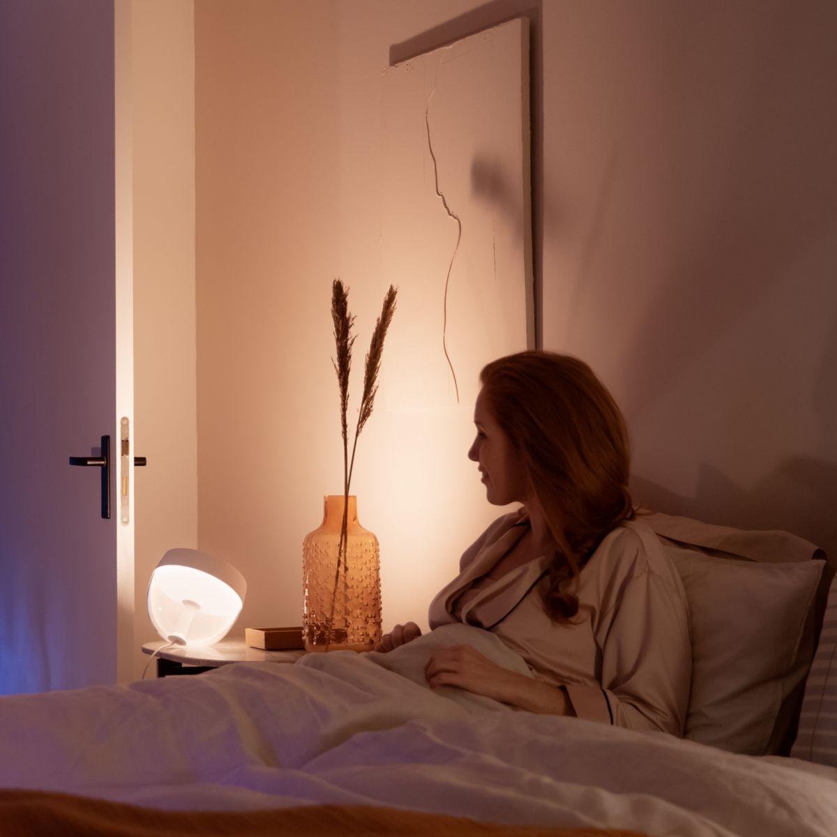 Lampe connectée PHILIPS HUE W&C Iris Noir - 2