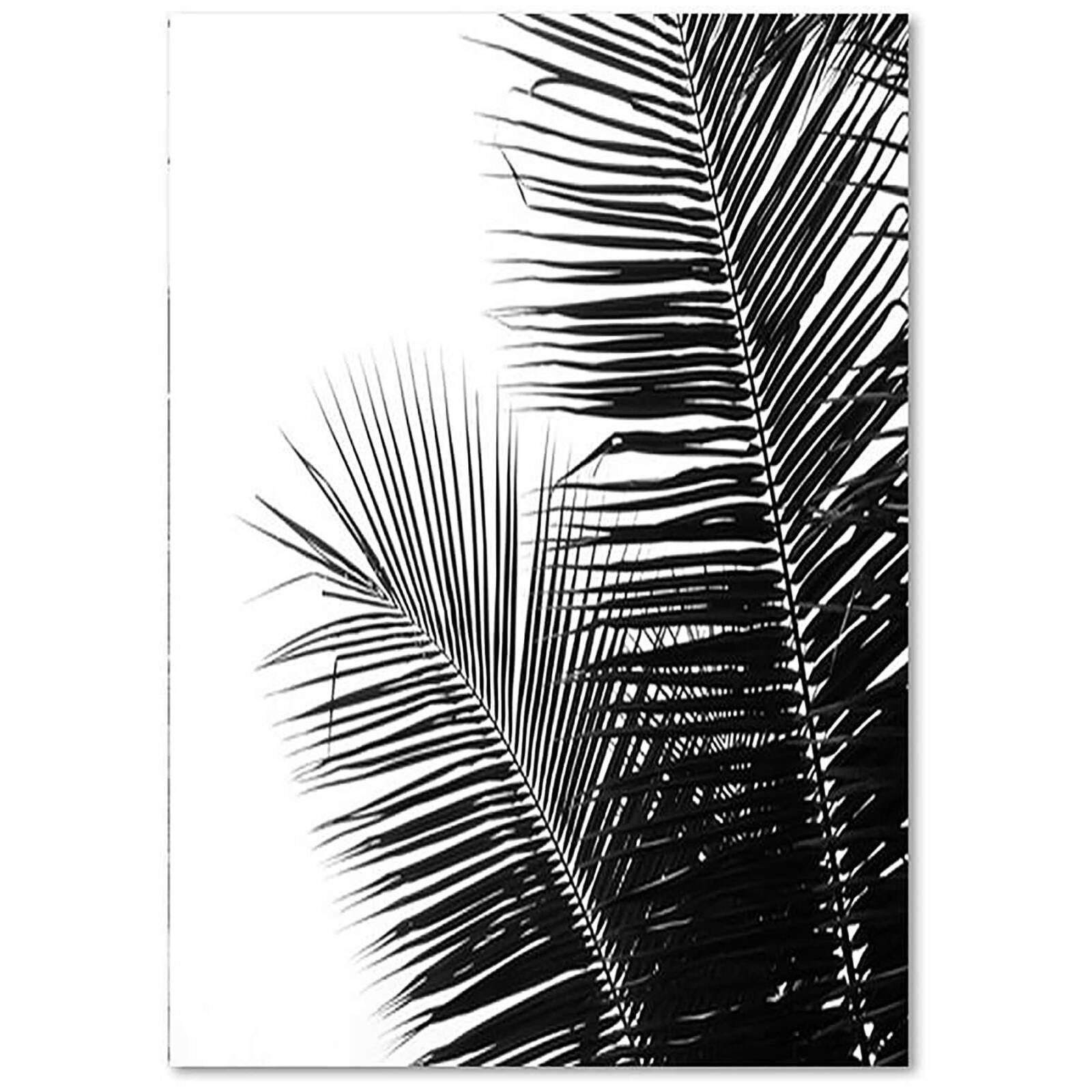 Tableau Feuilles De Palmier 2 70 X 100 Cm Leroy Merlin tableau-feuilles-de-palmier-2-70-x-100-cm-leroy-merlin