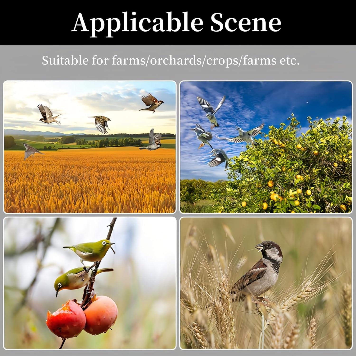Alarme Répulsive pour Oiseaux à Energie Solaire IP55 Etanche à 360° Protection Complète Multiples Sons Dissuadant Les Oiseaux Ennemis Cornus Convient - 5