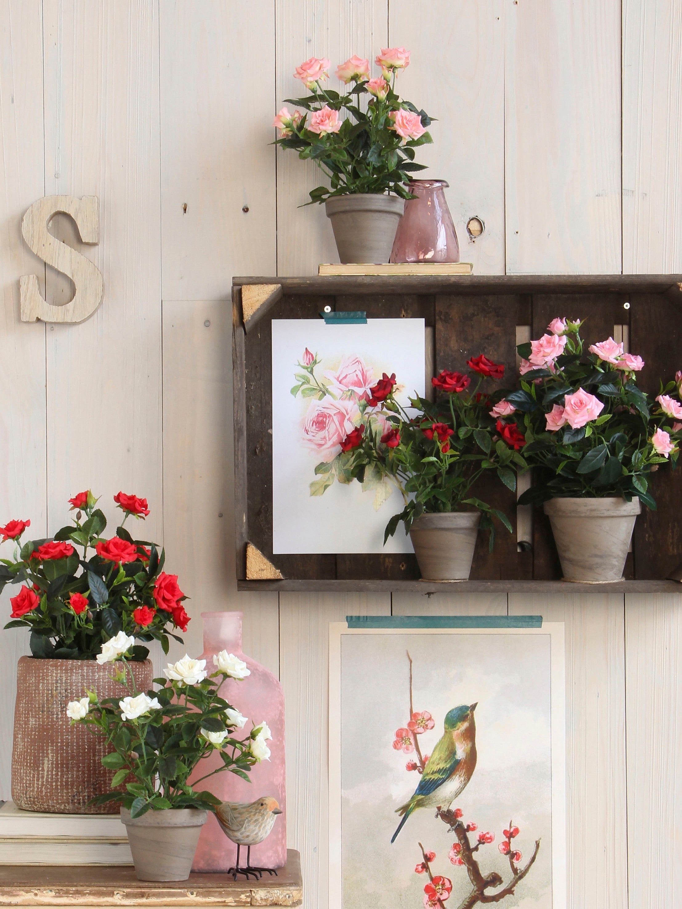 Sztuczna Róża Mica Decorations Biała Realistyczna i Bezobsługowa - 4