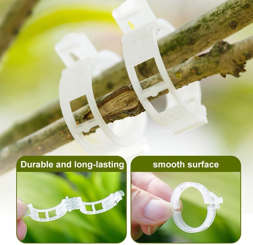 Clip Per Piante Rampicanti E Pomodori – 200 Pezzi Di Supporto Da Giardino (Verde E Bianco)