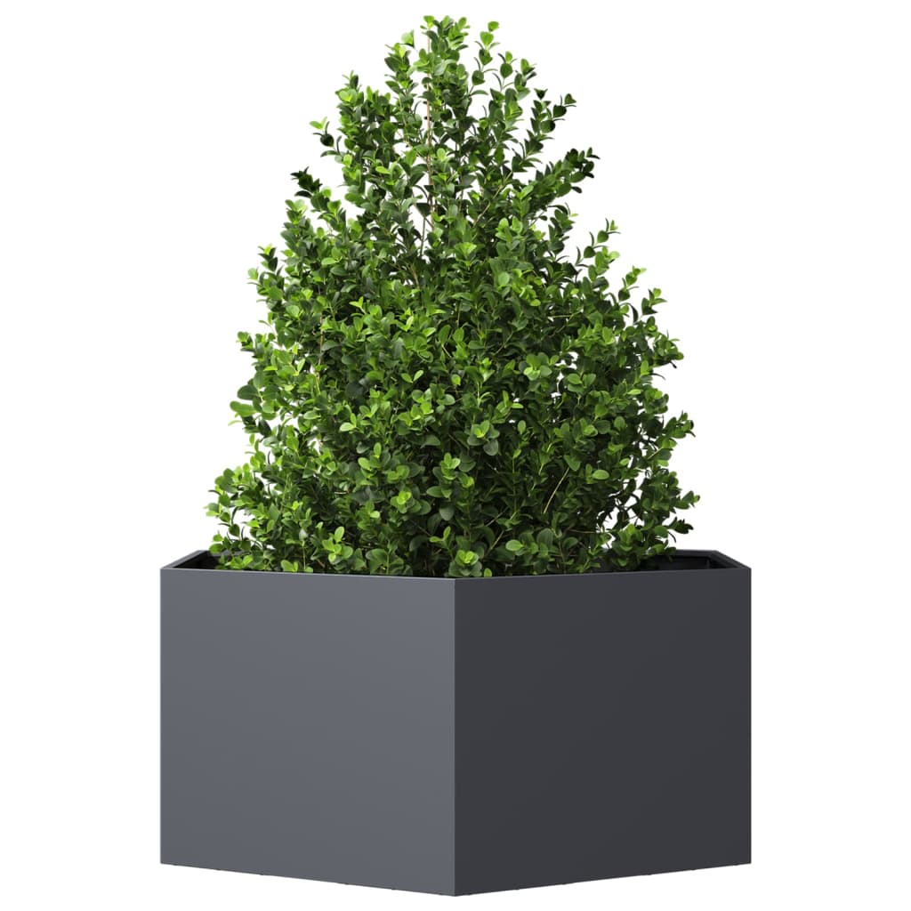 vidaXL Jardinière anthracite hexagone 104x90x45 cm acier - 3