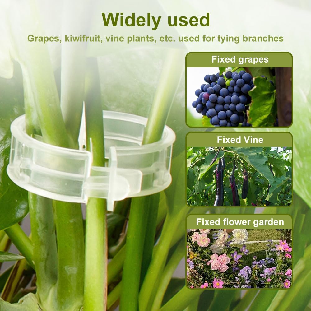 Plant Support Clips de Jardin Tomate Clips Support, Jardin Clips pour Les légumes Tomate Vigne tiges (100, Transparent)Vert - 3