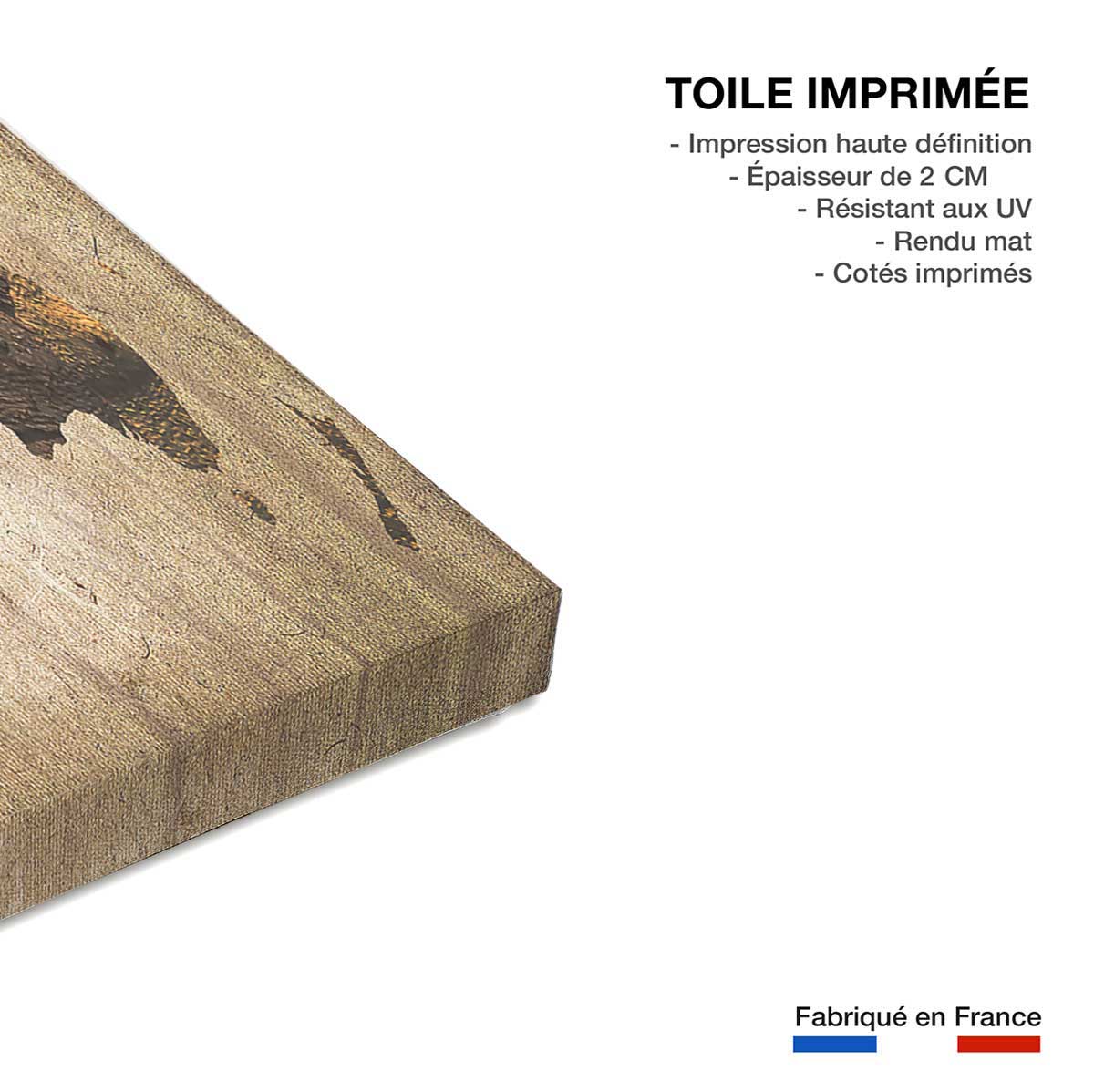 Tableau triptyque carte du monde couleur bois - 90x60 cm - 3